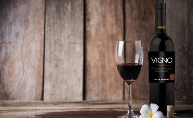 Rượu vang Vigno Old Vines Dry Farmed Vignadores de Carignan