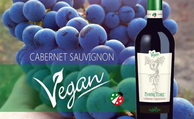 Rượu vang Nostre Terre Cabernet Sauvignon Varietale Vegan