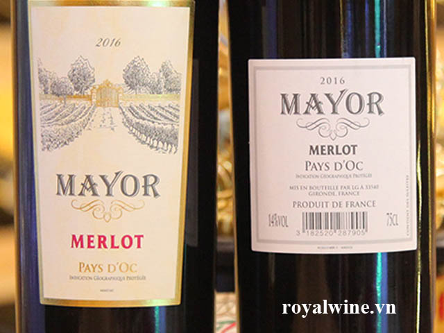 Rượu vang Mayor Merlot