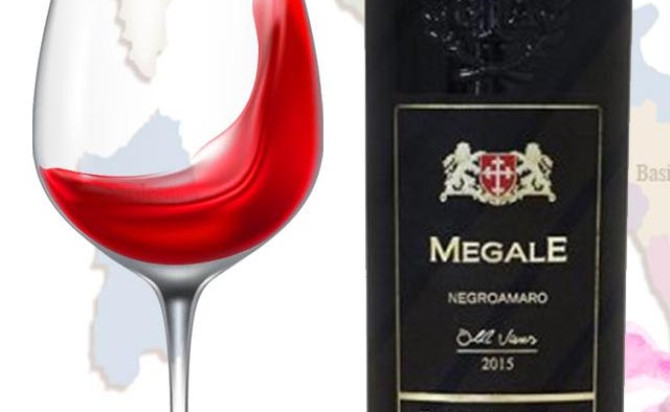 Rượu vang Megale Negroamaro Old Vines (New Label)