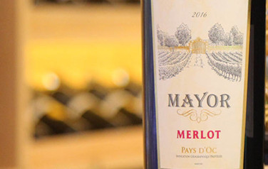 Rượu vang Mayor Merlot