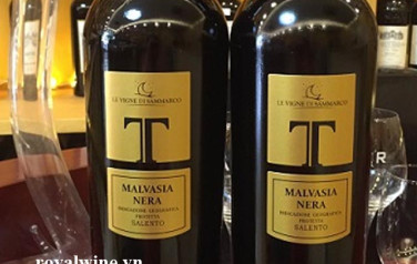 Rượu vang T Malvasia Nera Salento
